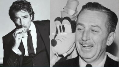 walt disney and javier bardem